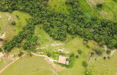 Imagem 6: Chácara 5 alqueires. 