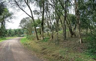 Imagem 2: Terreno com 813m² em Nova Petrópolis