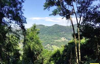 Imagem 5: Sítio / Chácara para Venda em Nova Petrópolis, Linha Olinda