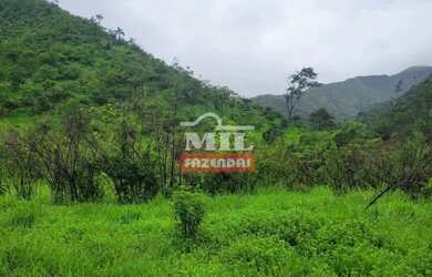 Imagem 6: Fazenda 337 Alqueires 1.638 Hectares Niquelandia - Go