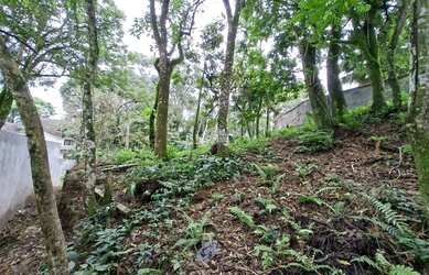 Imagem: O terreno possui 535m² de Área e está localizado em Barreirinha