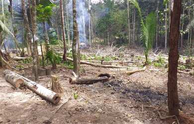 Imagem: A chácara possui 50.100m² de Área e está localizado em