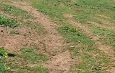 Imagem: A chácara possui 1.500m² de Área e está localizado em Contenda