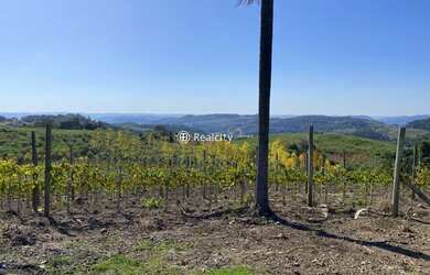 Imagem 13: MONTE BELO DO SUL - Terreno Padrão - Linha Armenio