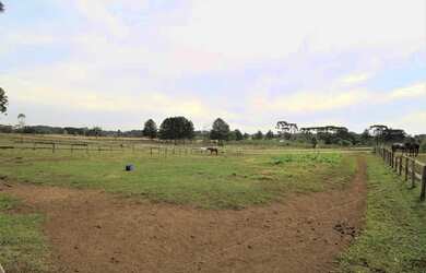 Imagem 6: FAZENDA à venda com 191760m² por R$ 7.000.000,00 no bairro Águas Claras...