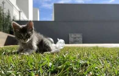 Imagem: A casa em condomínio possui 3 Dormitórios, 4 Banheiros, 3