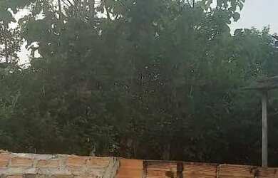 Imagem 5: Casa perto da Praia em povoado de Santo Amaro