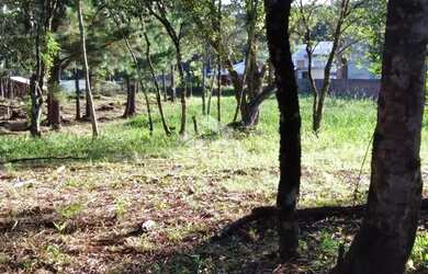 Imagem 6: Terreno com 813m² em Nova Petrópolis