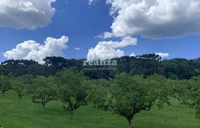 Imagem: O terreno possui 800m² de Área e está localizado em Gramado