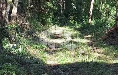 Imagem 11: Chácara em Nova Petrópolis próximo ao Ninho das Águias