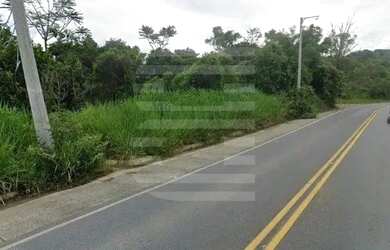 Imagem 4: Área plana à venda - Estrada do Jequitiba - Valinhos