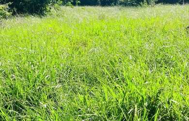 Imagem: A fazenda está localizado em São Gonçalo Dos Campos, BA à