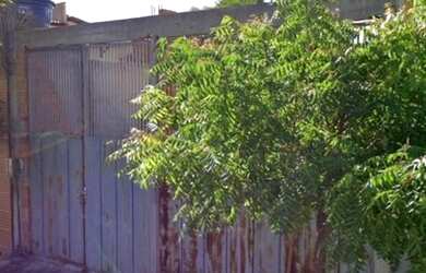 Imagem 9: Linda fazenda 600ha na rota da aeólica e casa na cidade