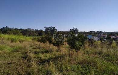 Imagem 11: Area em Campo Novo. Imóvel novo