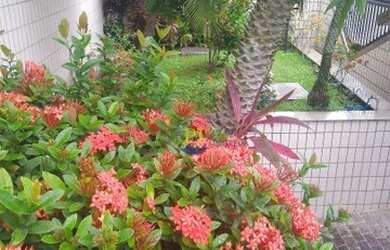 Imagem 6: Cobertura à venda, 178 m² por R$ 420.000,00 - Vila Guilhermina - Praia...