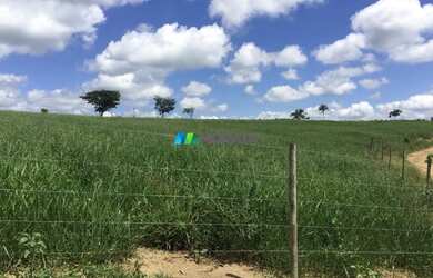 Imagem: A fazenda possui 750m² de Área e está localizado em Salinas