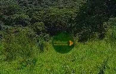 Imagem 3: Fazenda à venda, 5808000 m² por R$ 12.000.000 - Jardim Santa Barbara - Pirenópolis/GO