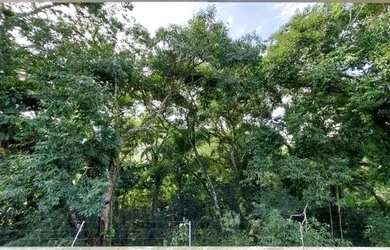 Imagem 11: IMPECÁVEL, FRENTE AO MAR