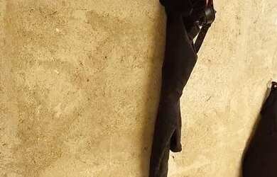 Imagem 7: SOBRADO NO CAPÃO RASO - NOVOS