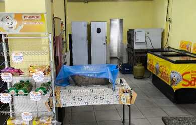 Imagem 7: Mini mercado. 80m² de Área