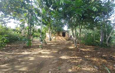 Imagem: O terreno possui 800m² de Área e está localizado em Centro