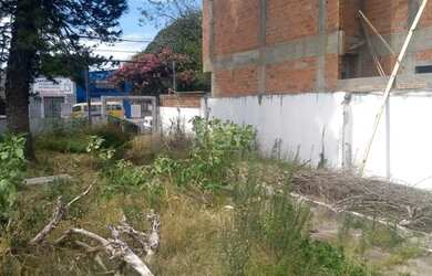 Imagem 13: Terreno em Tristeza. 331m² de Área