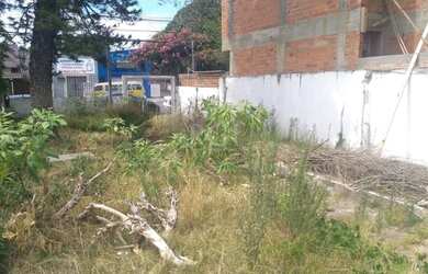 Imagem 6: Terreno em Tristeza. 331m² de Área