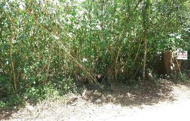 Imagem 3: Terreno à venda, 1000 m² por R$ 350.000,00 - Granja Viana - Cotia/SP