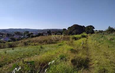 Imagem 6: Area em Campo Novo. Imóvel novo