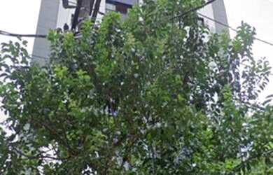 Imagem 1: Apartamento com 2 dormitórios, 70 m² - venda por R$ 890.000,00 ou aluguel...