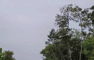 Imagem 2: Lotes em Belterra. Imóvel novoe30m² de Área