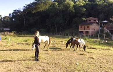 Imagem: O terreno possui 800m² de Área e está localizado em Penedo