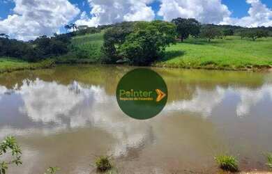 Imagem 2: Fazenda à venda, 5808000 m² por R$ 12.000.000 - Jardim Santa Barbara - Pirenópolis/GO