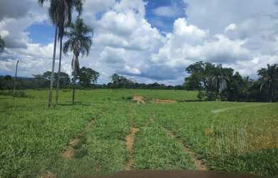 Imagem 5: Fazenda 80 alq. Em trindade 300 mil.p/ alq. Pega 40% aptos Goiânia 24 milhoes