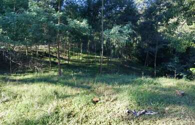 Imagem 16: Sítio / Chácara para Venda em Nova Petrópolis, Fazenda Pirajá, 2 dormitórios,...