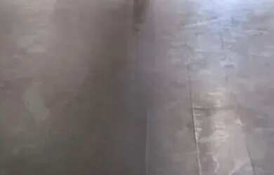 Imagem 4: Imóvel para aluguel tem 49 metros quadrados em Santo Agostinho - Belo Horizonte - MG