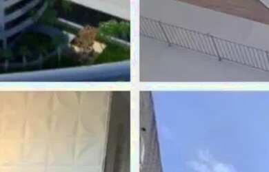 Imagem: O apartamento possui 3 Dormitórios, 2 Banheiros, 2 Vagas na