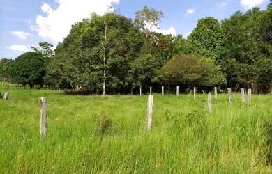 Imagem 2: Fazenda com 90 hectares na vila Equador/RR, ler descrição do anuncio
