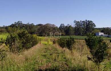 Imagem 12: Area em Campo Novo. Imóvel novo