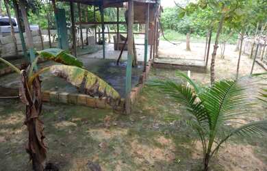 Imagem 6: Vende se terreno 10x20