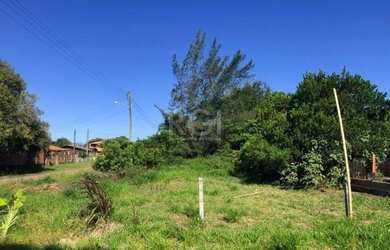 Imagem 5: Terreno em Rondinha. 331m² de Área