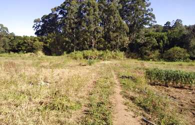 Imagem 13: Area em Campo Novo. Imóvel novo