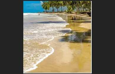 Imagem 3: Chegou o que Estava Faltando Em Tamandaré Pé na Areia