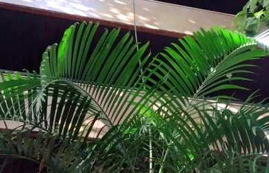 Imagem: O apartamento possui 4 Dormitórios, 3 Banheiros, 1 Vaga na