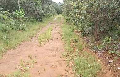 Imagem 2: .Uma fazenda 170 alqueires 52 km de Porto