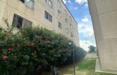 Imagem 5: Apartamento para comprar São Gabriel Belo Horizonte