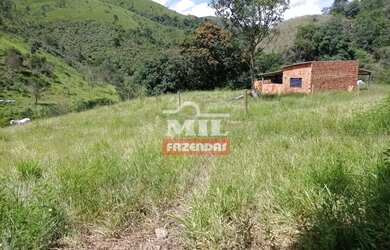 Imagem 14: Fazenda 337 Alqueires 1.638 Hectares Niquelandia - Go