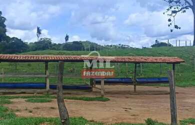 Imagem 7: Fazenda 103 Alqueires 500 Hectares Piracanjuba - GO