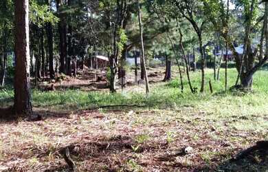 Imagem 5: Terreno com 813m² em Nova Petrópolis