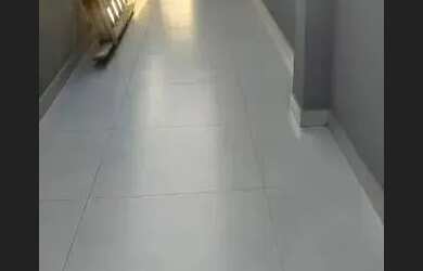 Imagem 9: Casa Alto Padrão à Venda no Condomínio Jardim Di Roma Indaiatuba